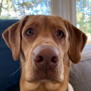 Meet your Posher, Haley